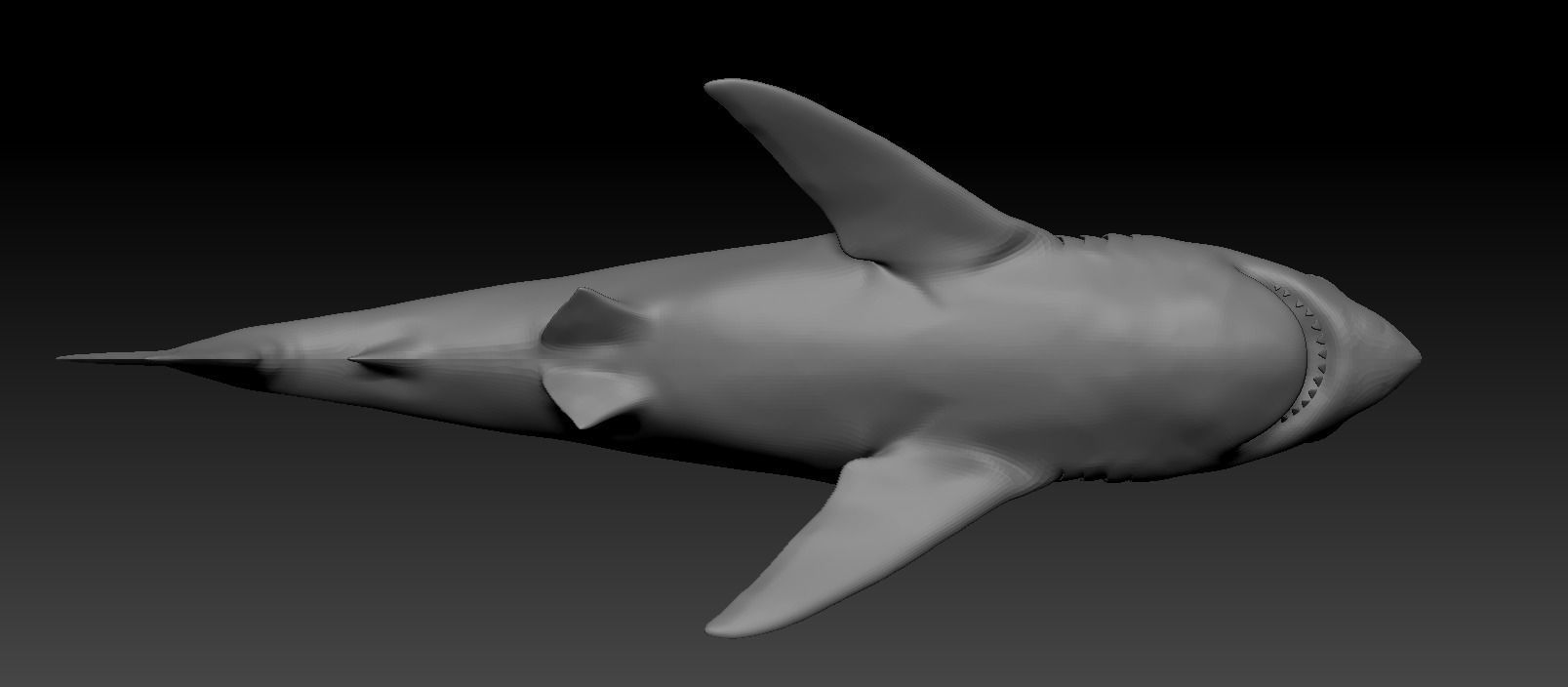 White shark base model Low-poly 3D model_19