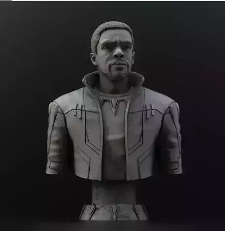 Chadwick Boseman BlackPanther T Challa 3D print model