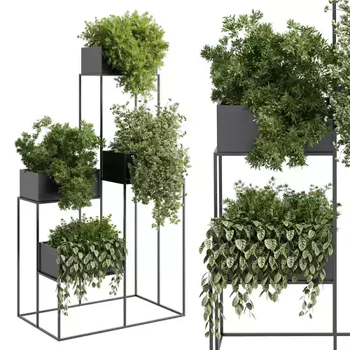 Standing metal shelf with a set of plants in metal boxes 355
