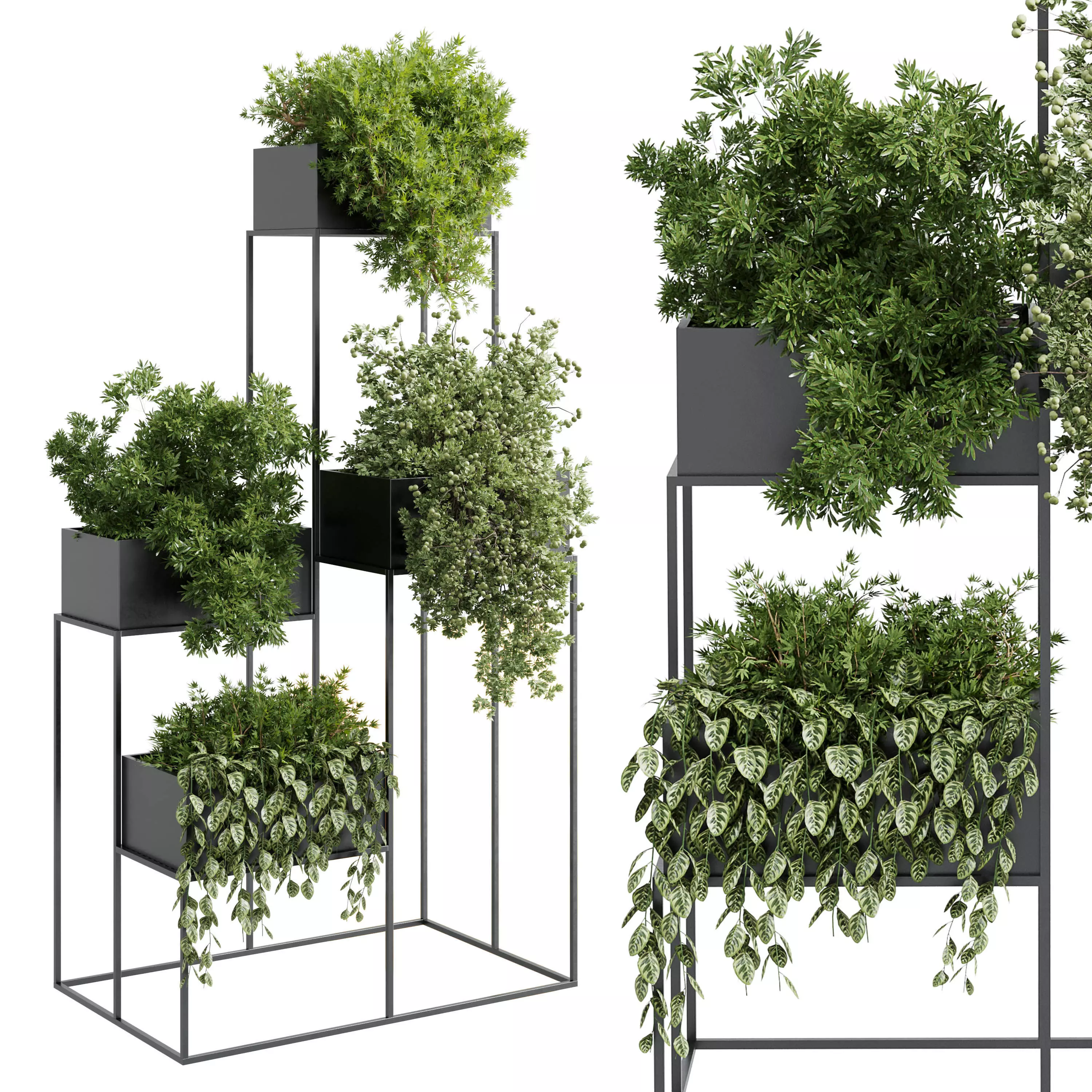Standing metal shelf with a set of plants in metal boxes 355 Low-poly 3D model_0