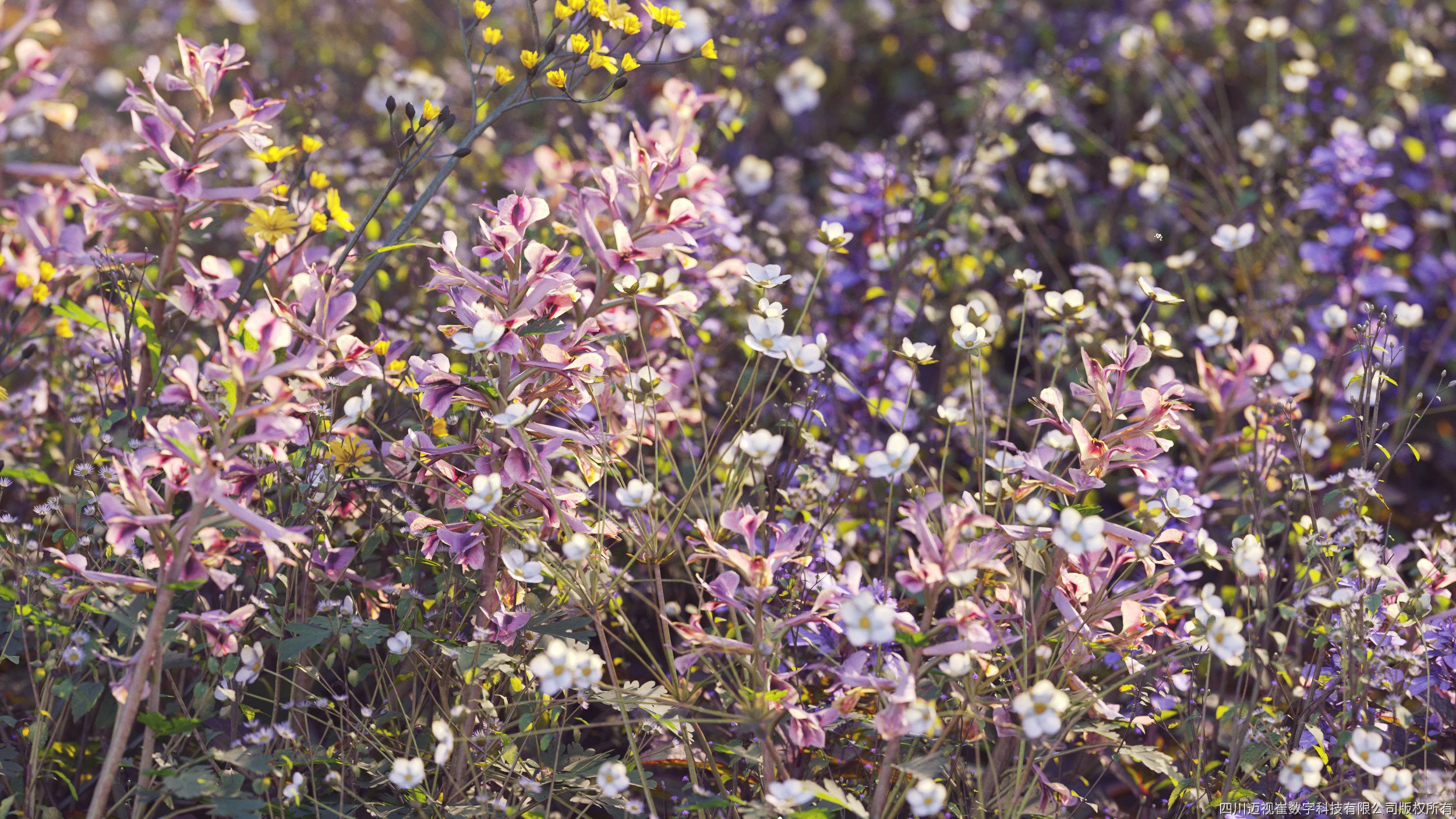 Maxtree Plant Models Vol 54 - Mesh 3D model_2