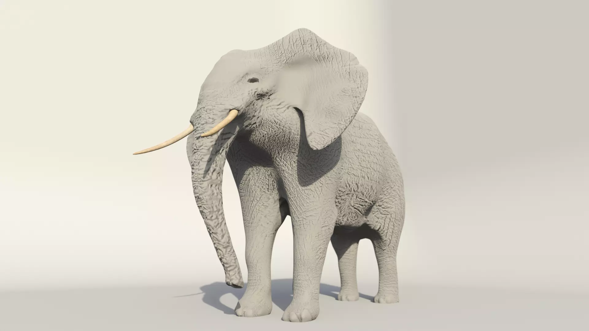 Elephant Low-poly 3D model_0