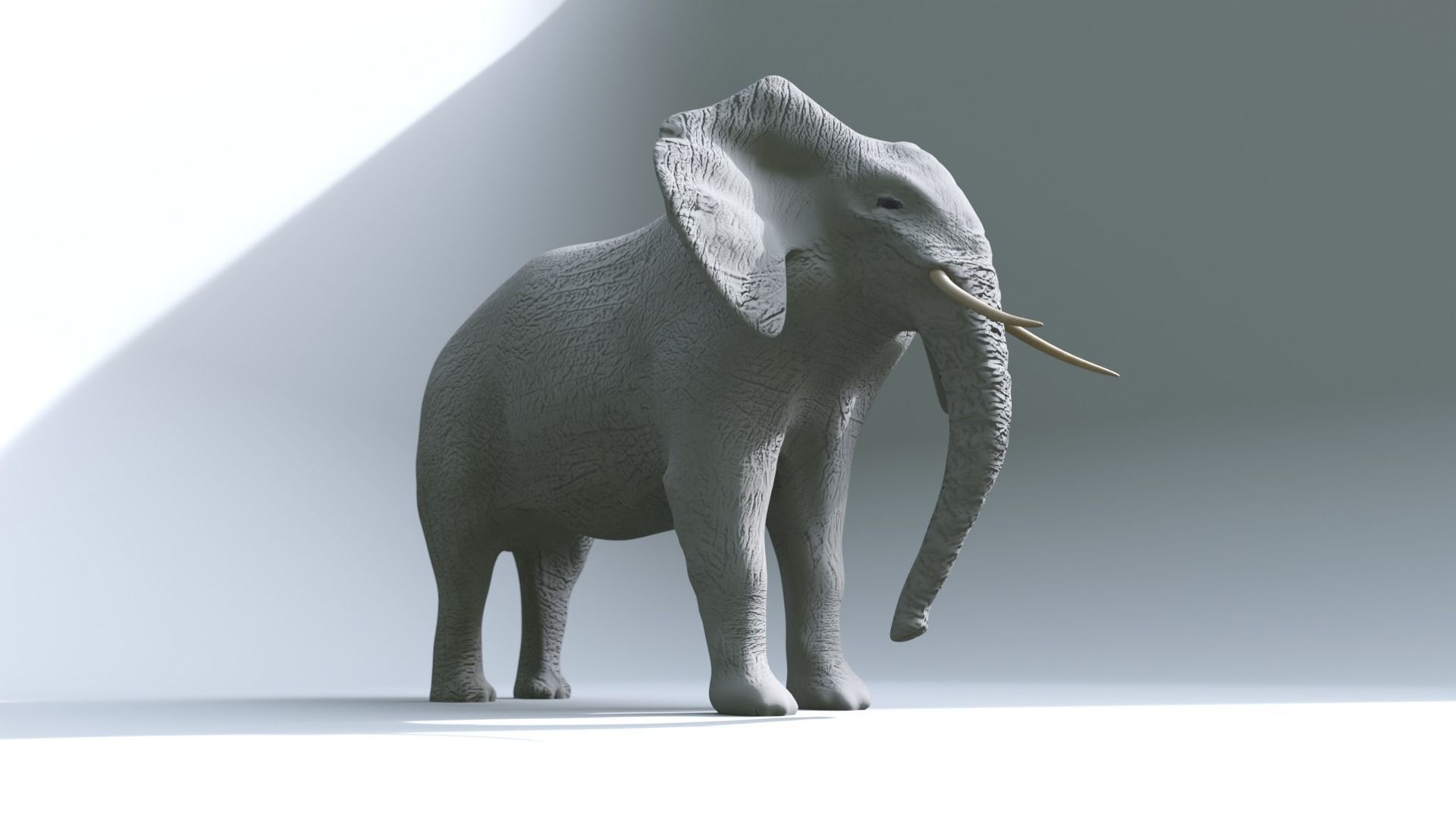 Elephant Low-poly 3D model_7
