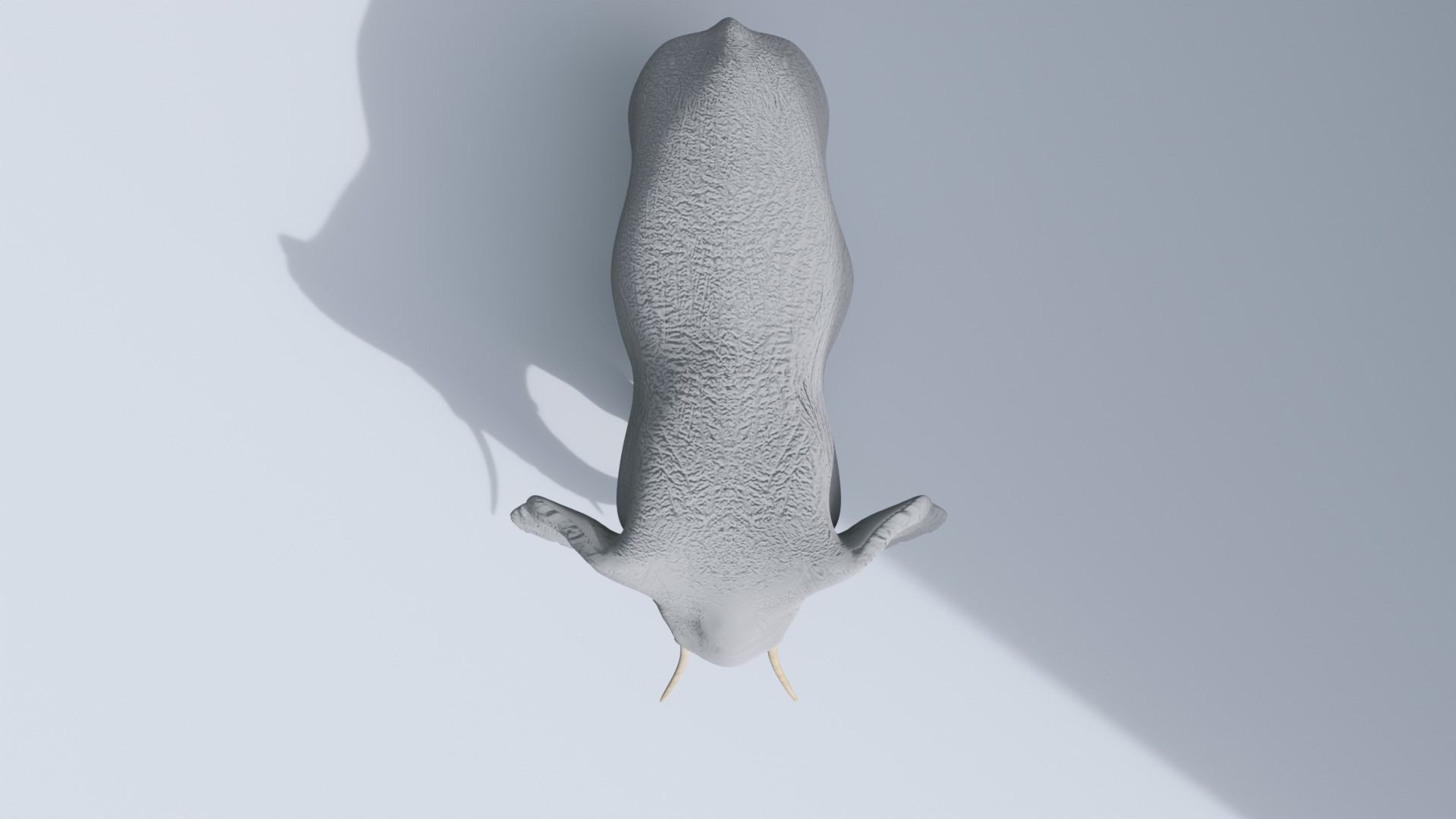 Elephant Low-poly 3D model_9