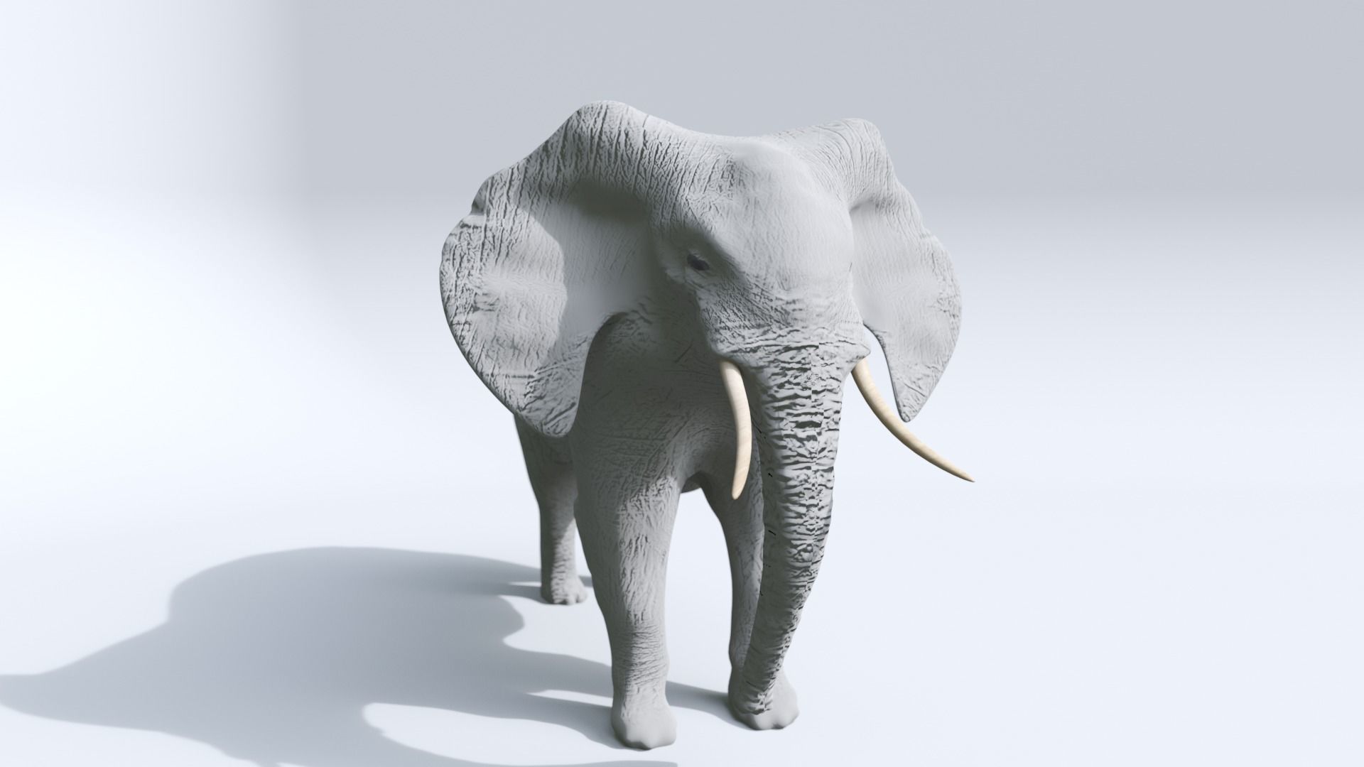 Elephant Low-poly 3D model_3