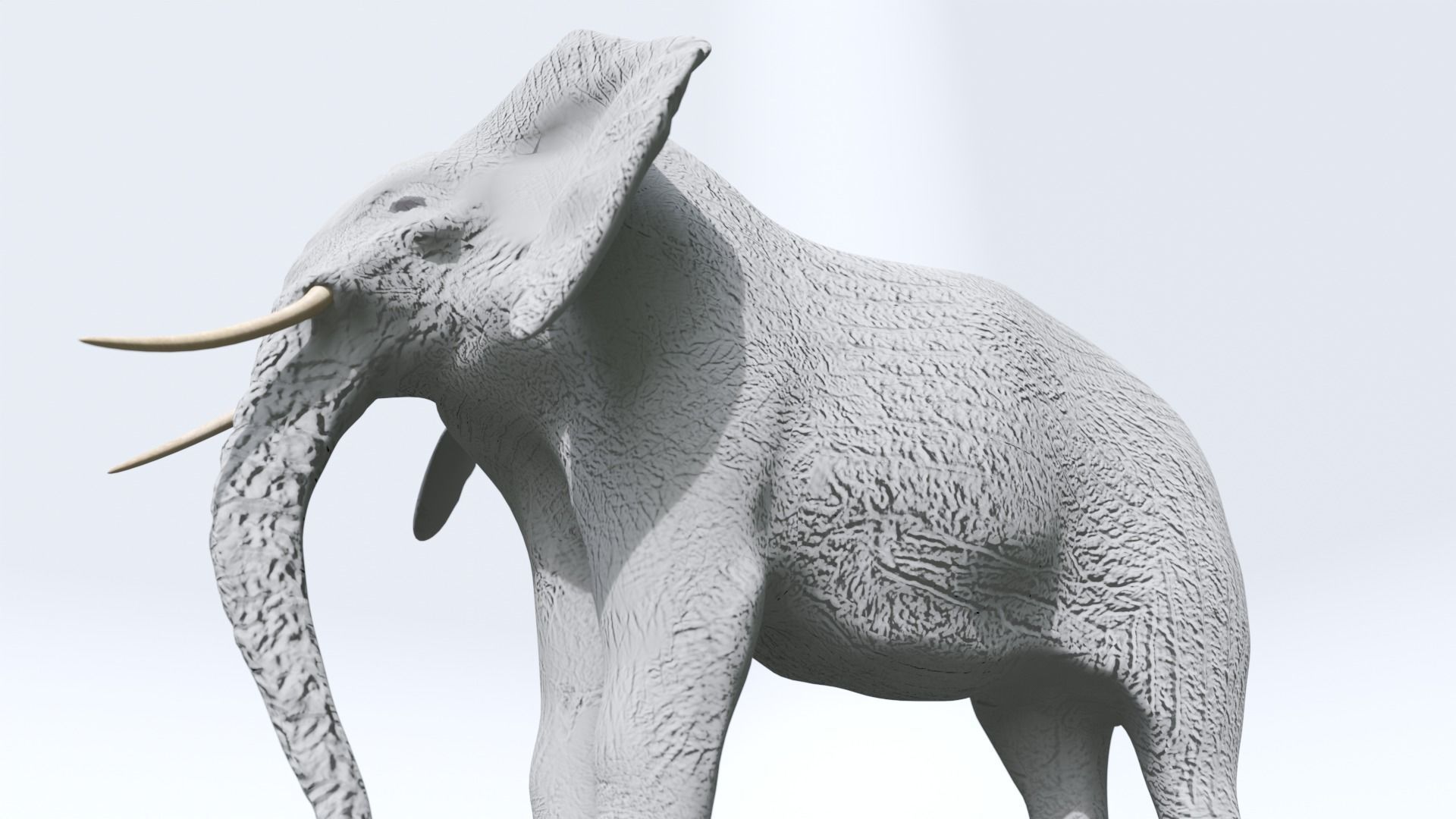 Elephant Low-poly 3D model_13