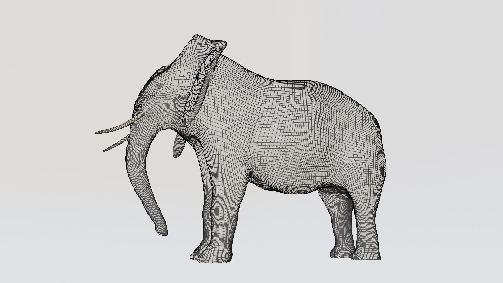 Elephant Low-poly 3D model_4