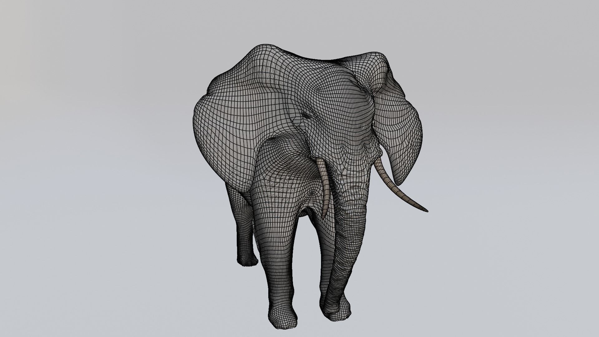 Elephant Low-poly 3D model_2