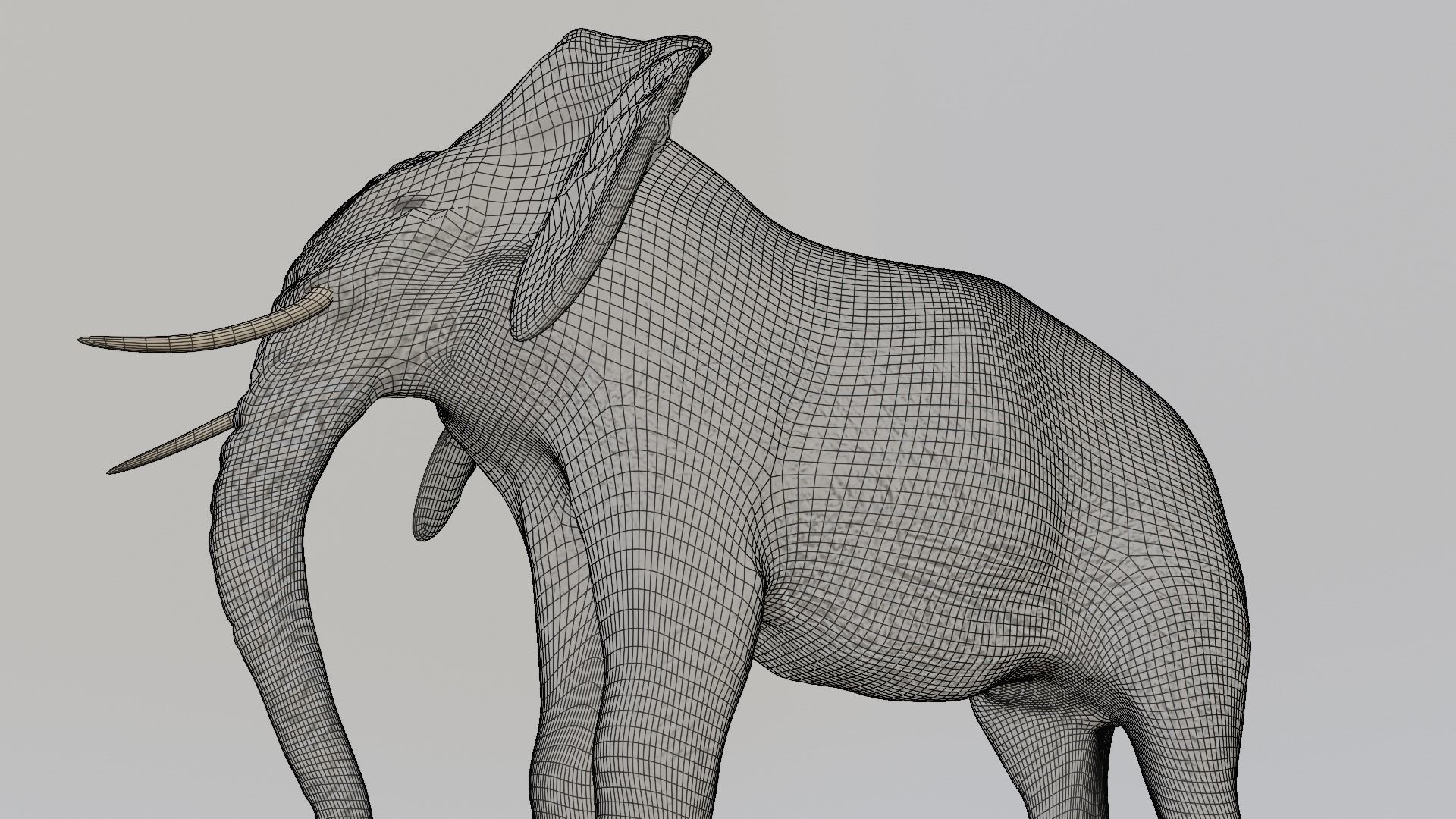 Elephant Low-poly 3D model_12