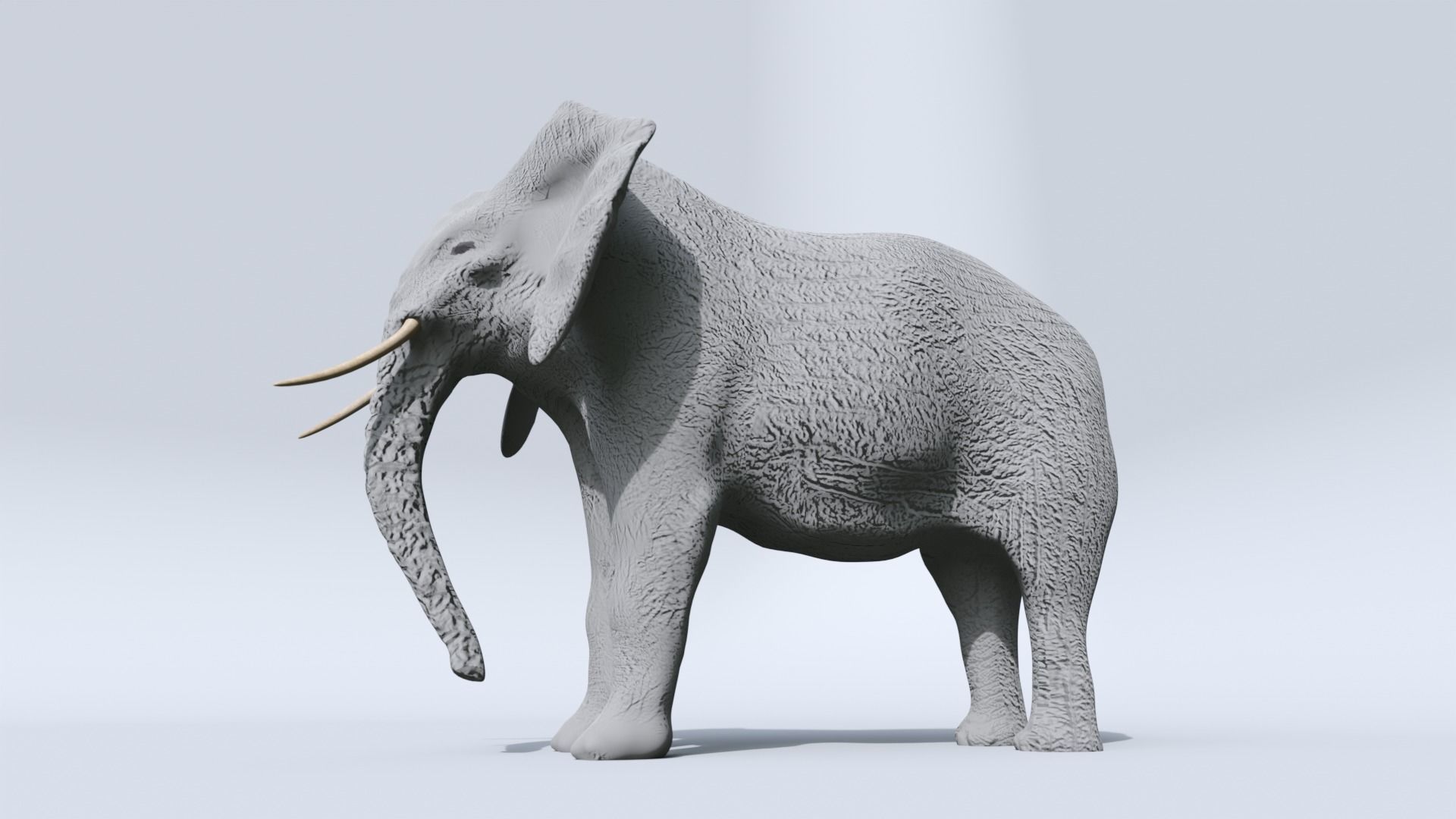 Elephant Low-poly 3D model_5