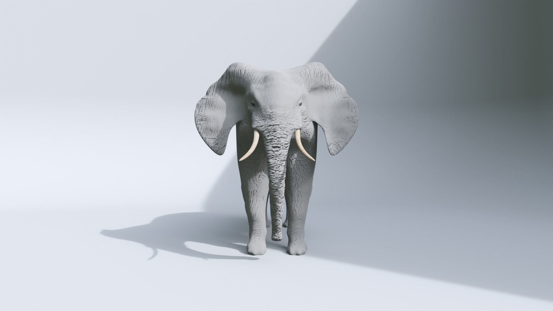 Elephant Low-poly 3D model_11