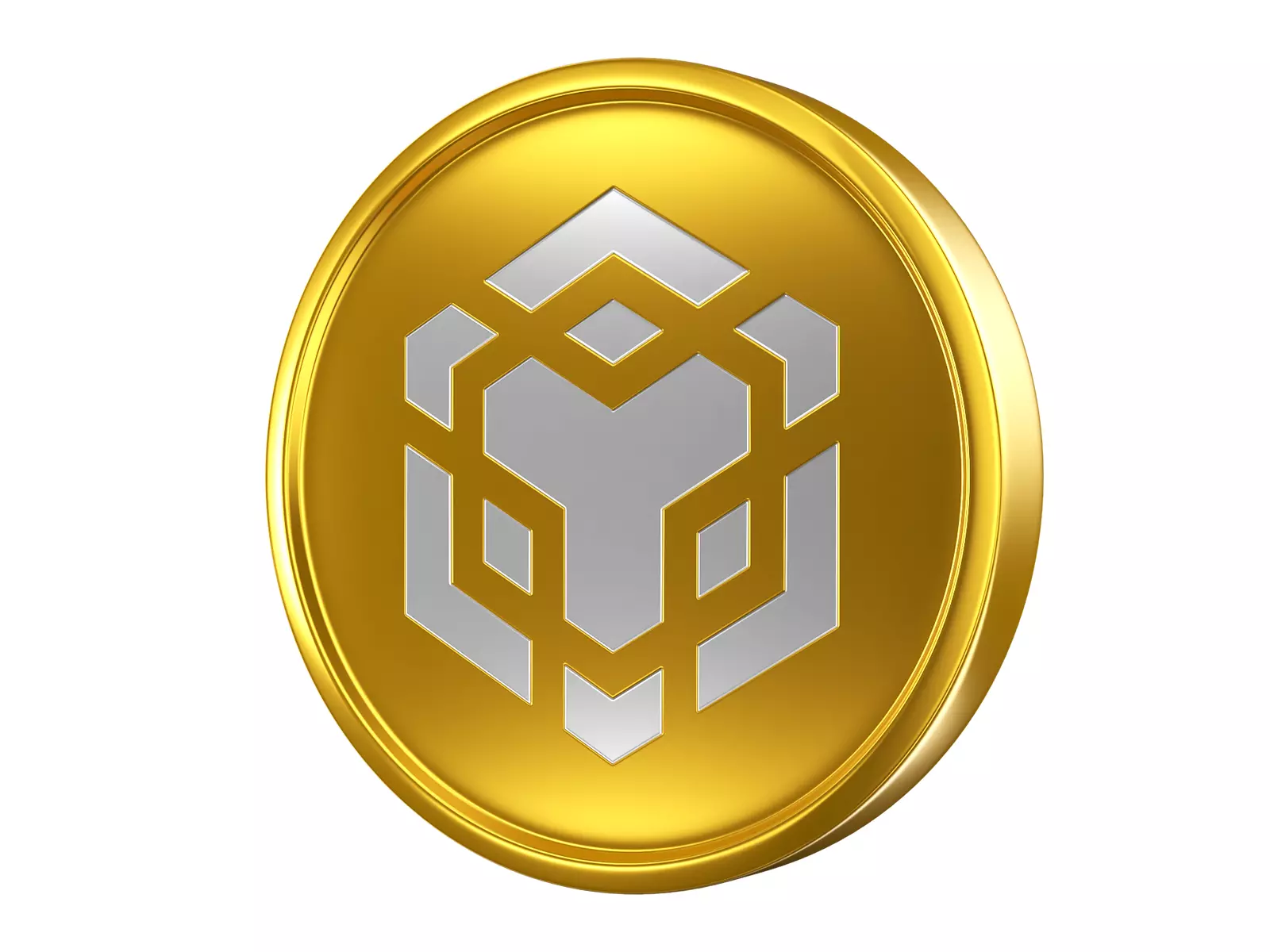 BNB Coin 3D model_0