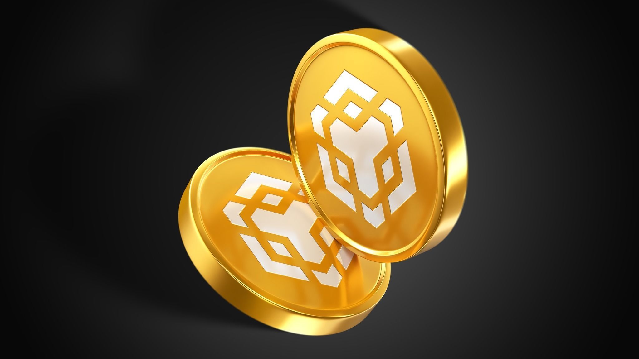 BNB Coin 3D model_2