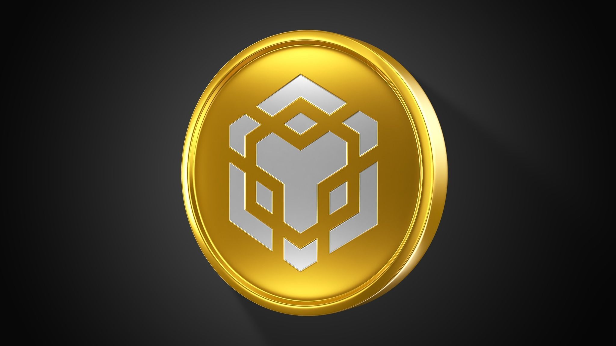 BNB Coin 3D model_3