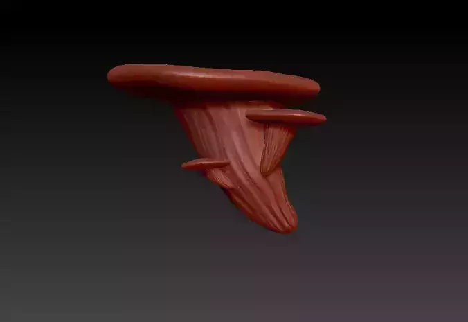 WALL SHELF  OYSTER MUSHROOM