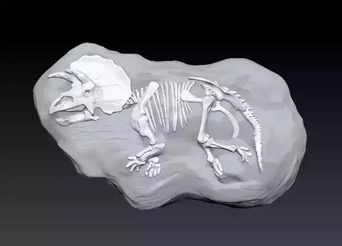 Triceratops Fossil Rock - 3D Skeleton of Triceratops Dinosaur 3D print model