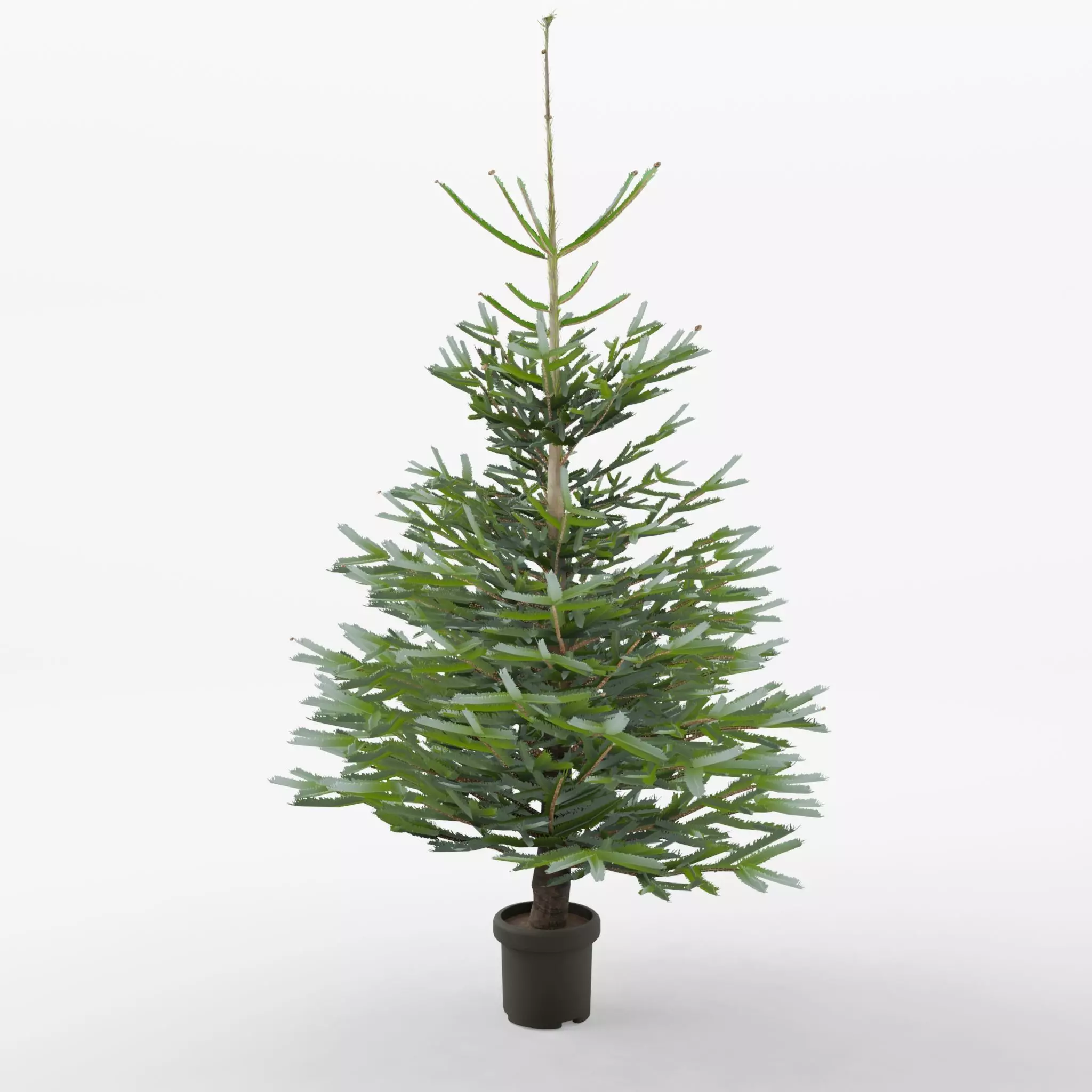 Artificial Christmas Tree 3D Model Low-poly 3D model_0