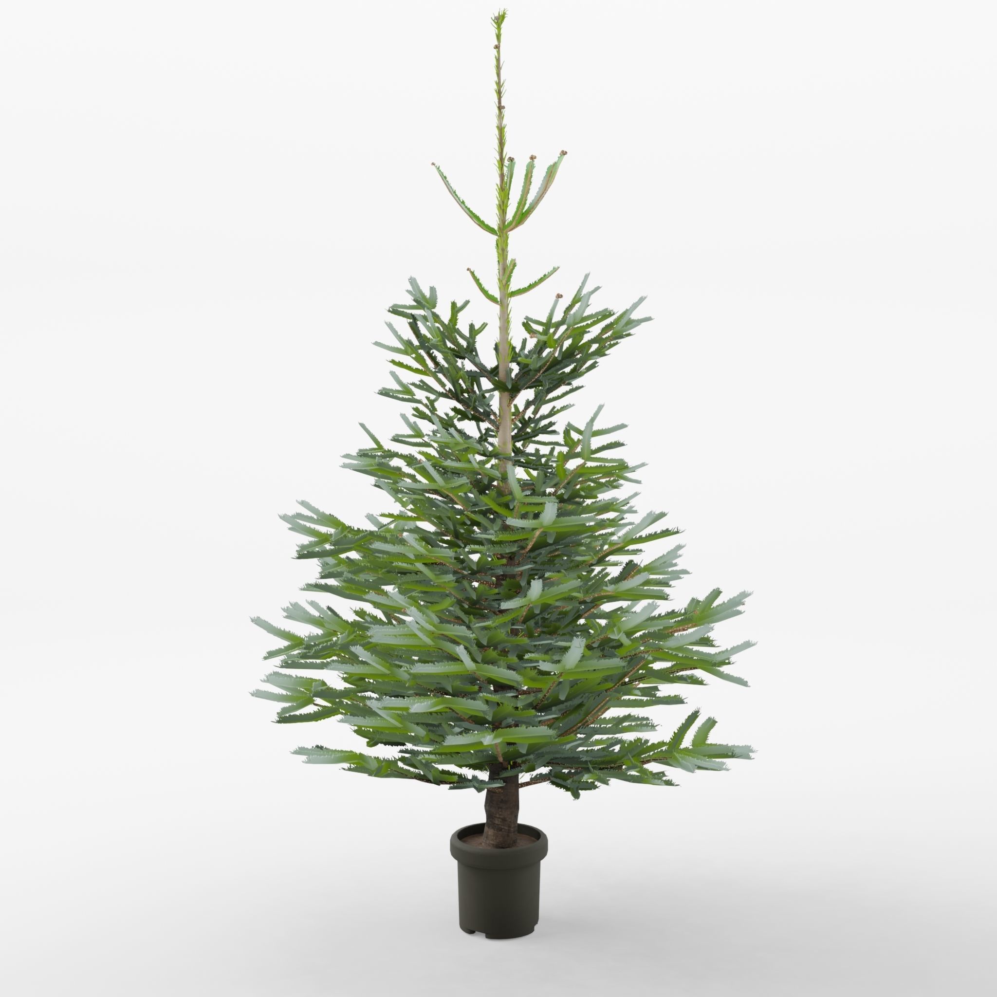 Artificial Christmas Tree 3D Model Low-poly 3D model_1