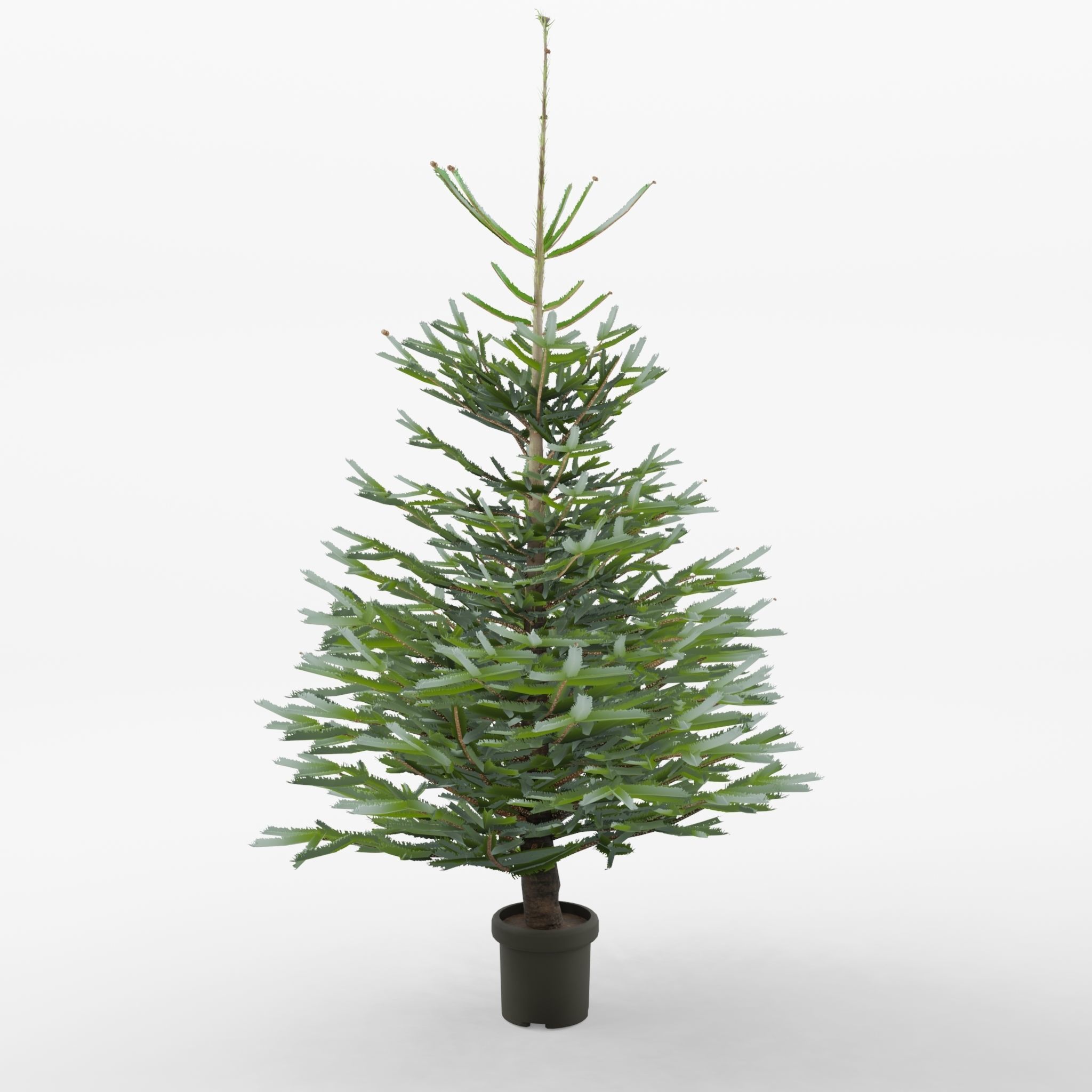 Artificial Christmas Tree 3D Model Low-poly 3D model_3