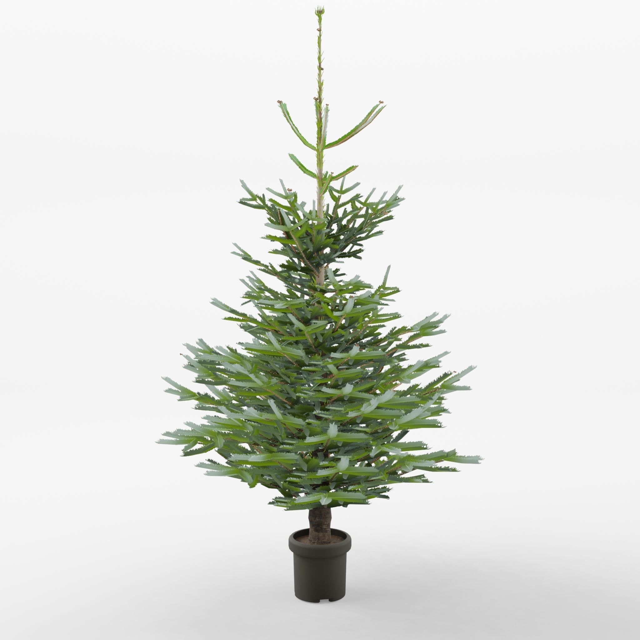 Artificial Christmas Tree 3D Model Low-poly 3D model_2