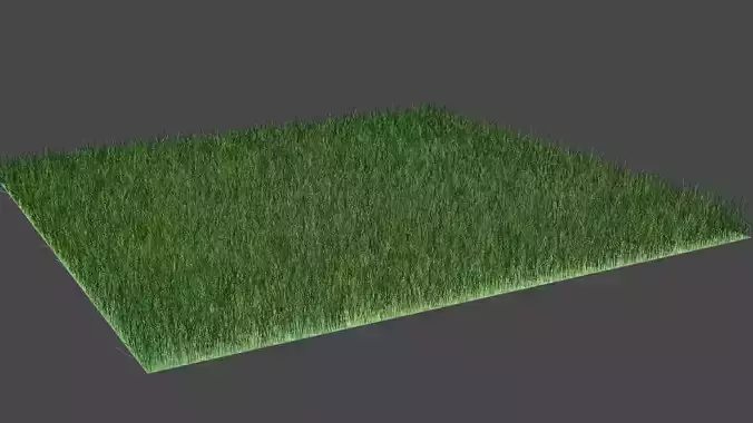 Grass