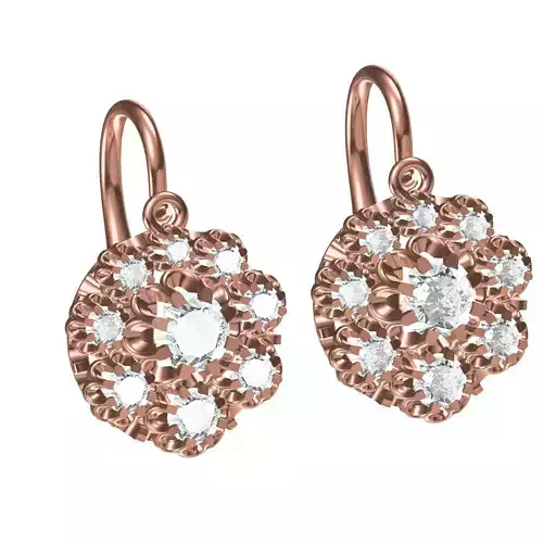 Beautiful Flower Earring