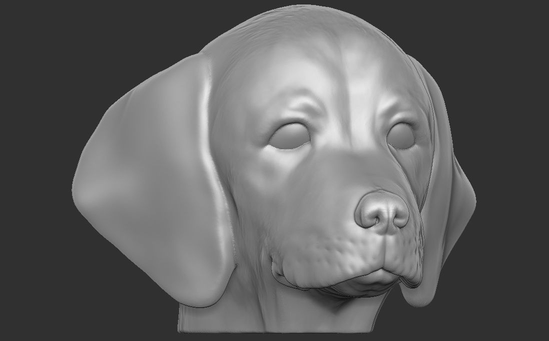 Puppy of Weimaraner dog head for 3D printing 3D print model_6