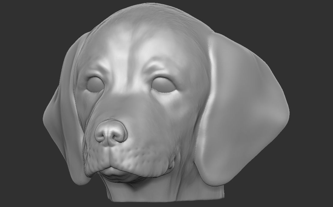 Puppy of Weimaraner dog head for 3D printing 3D print model_3