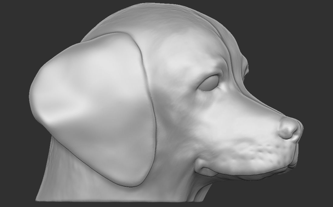 Puppy of Weimaraner dog head for 3D printing 3D print model_8