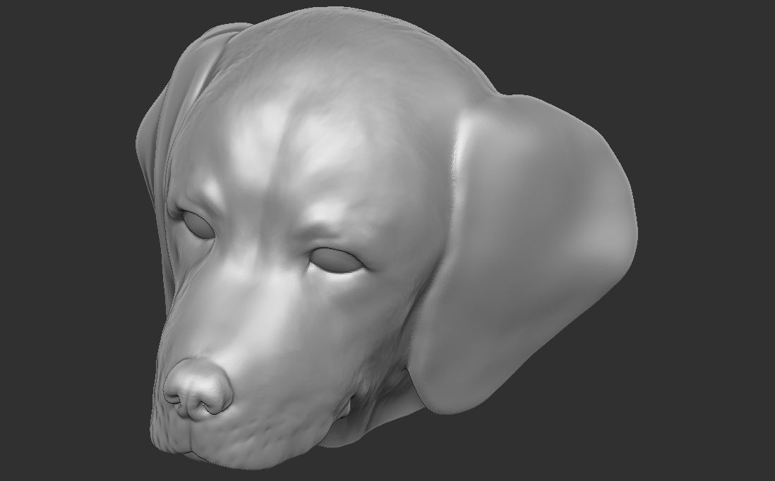 Puppy of Weimaraner dog head for 3D printing 3D print model_18