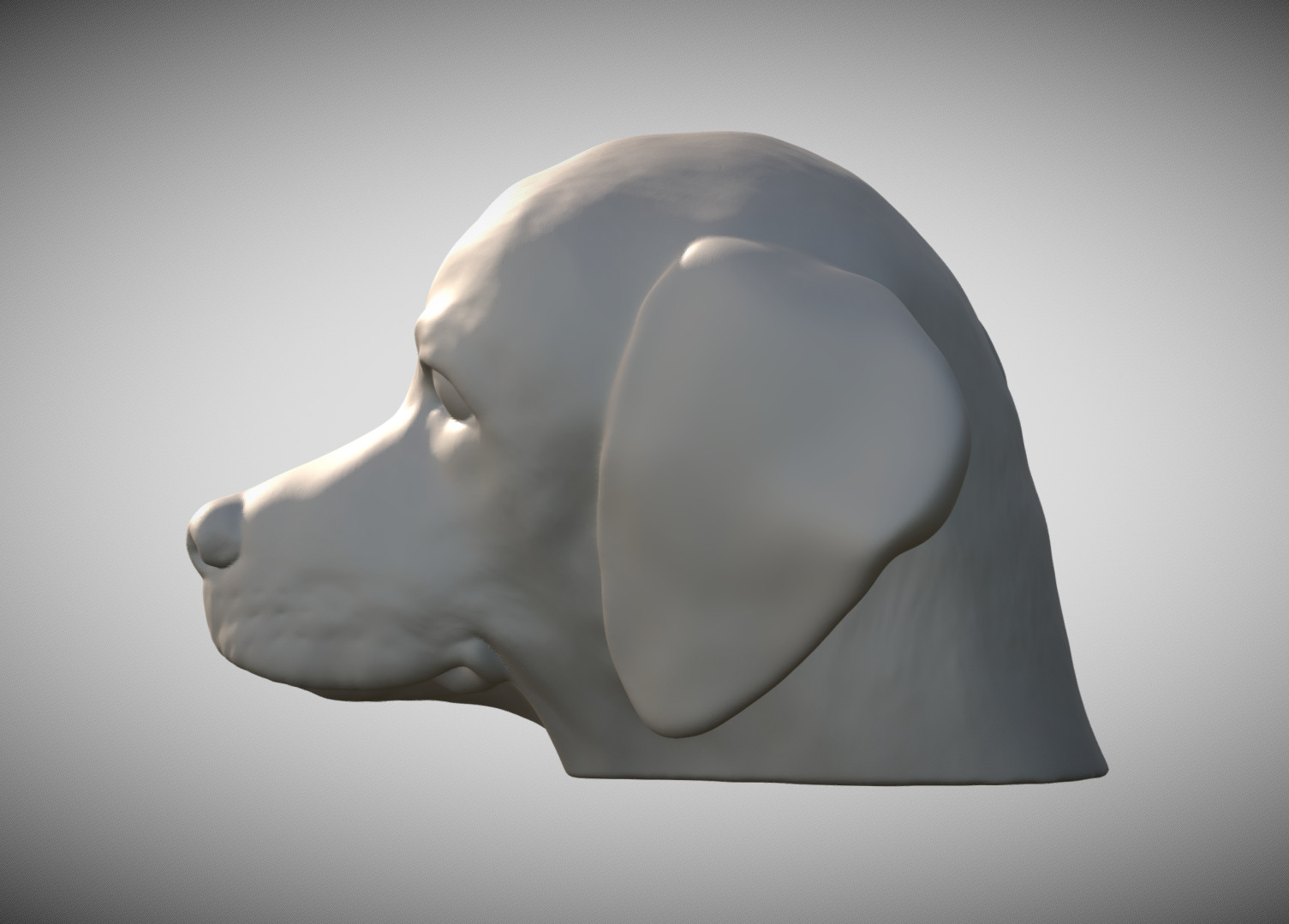 Puppy of Weimaraner dog head for 3D printing 3D print model_1