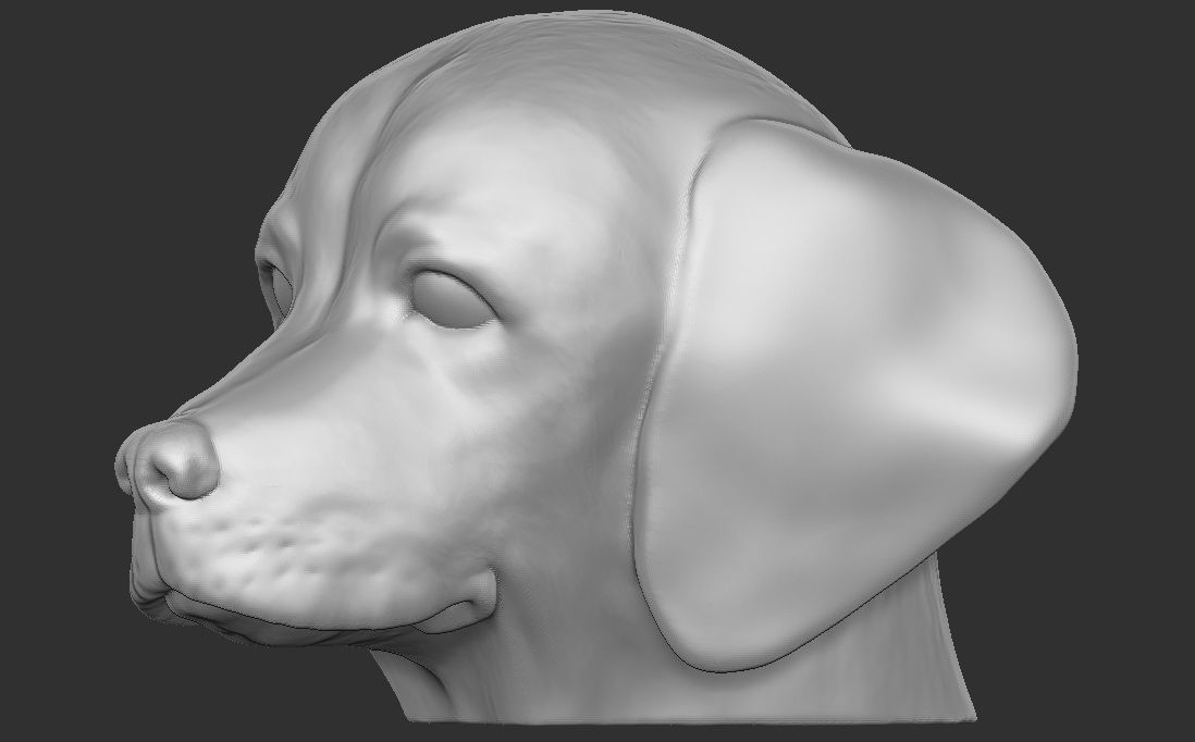 Puppy of Weimaraner dog head for 3D printing 3D print model_14