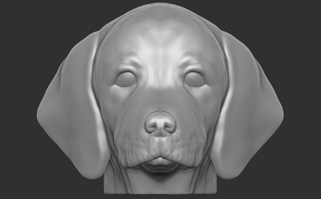 Puppy of Weimaraner dog head for 3D printing 3D print model_5