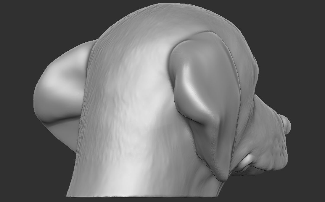 Puppy of Weimaraner dog head for 3D printing 3D print model_10