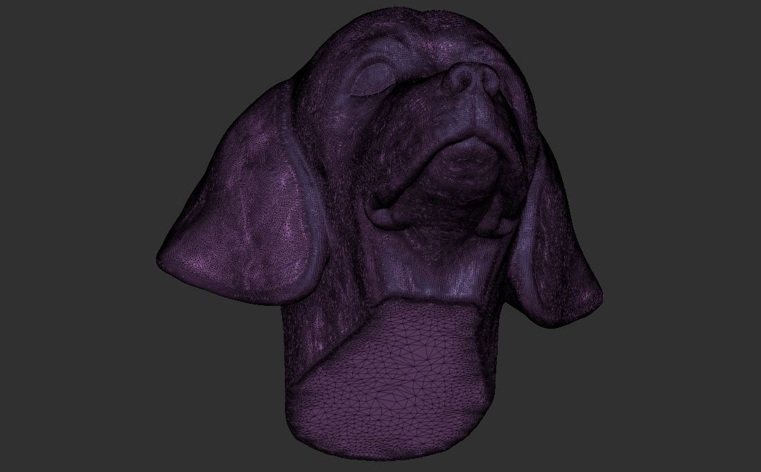 Puppy of Weimaraner dog head for 3D printing 3D print model_24