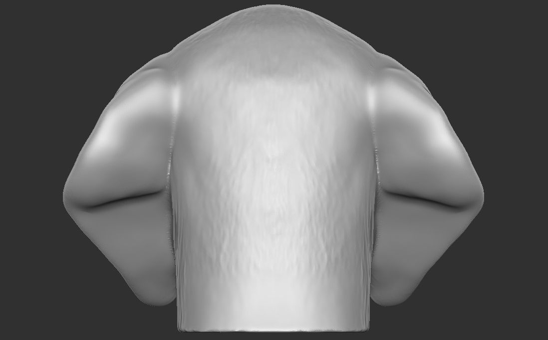 Puppy of Weimaraner dog head for 3D printing 3D print model_11