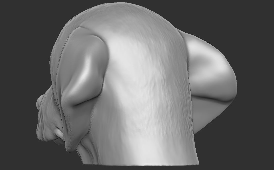 Puppy of Weimaraner dog head for 3D printing 3D print model_12