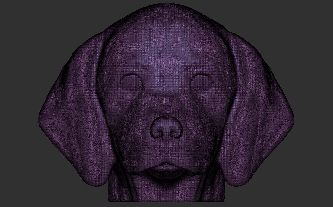 Puppy of Weimaraner dog head for 3D printing 3D print model_23