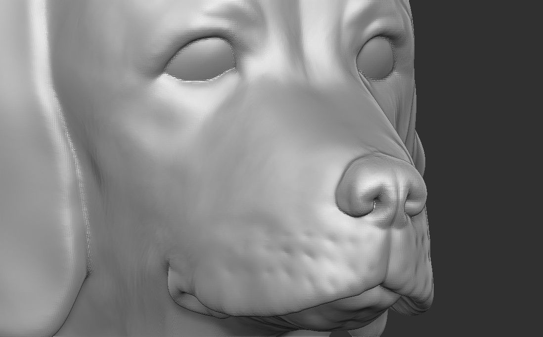 Puppy of Weimaraner dog head for 3D printing 3D print model_16