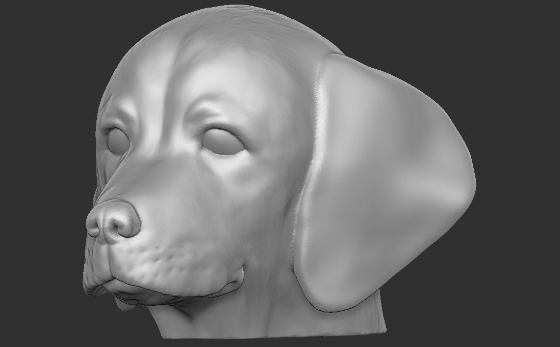 Puppy of Weimaraner dog head for 3D printing 3D print model_4