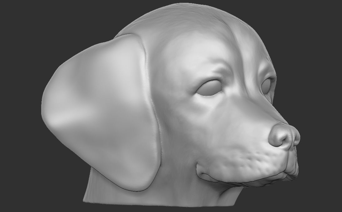 Puppy of Weimaraner dog head for 3D printing 3D print model_7