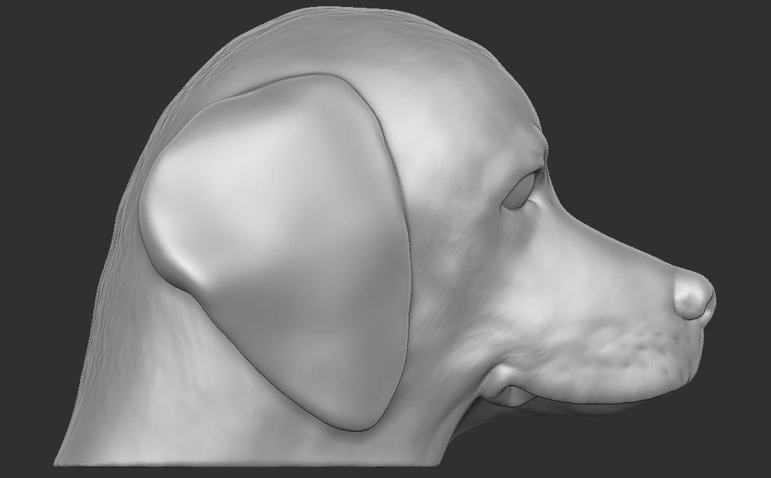 Puppy of Weimaraner dog head for 3D printing 3D print model_9