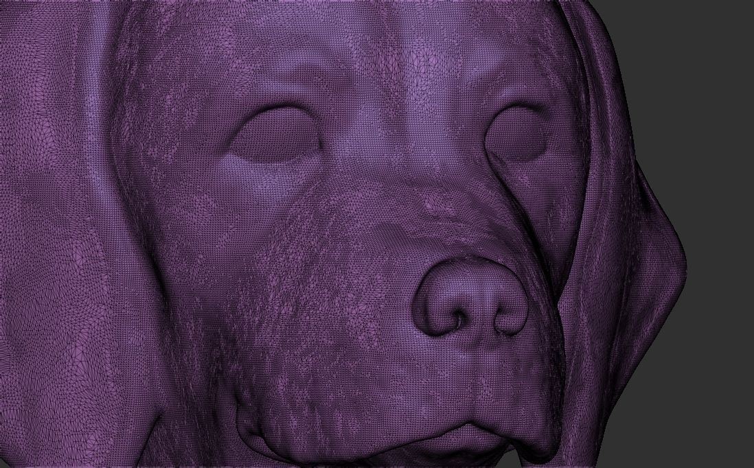 Puppy of Weimaraner dog head for 3D printing 3D print model_22