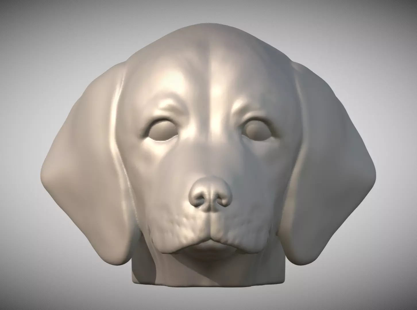 Puppy of Weimaraner dog head for 3D printing 3D print model_0