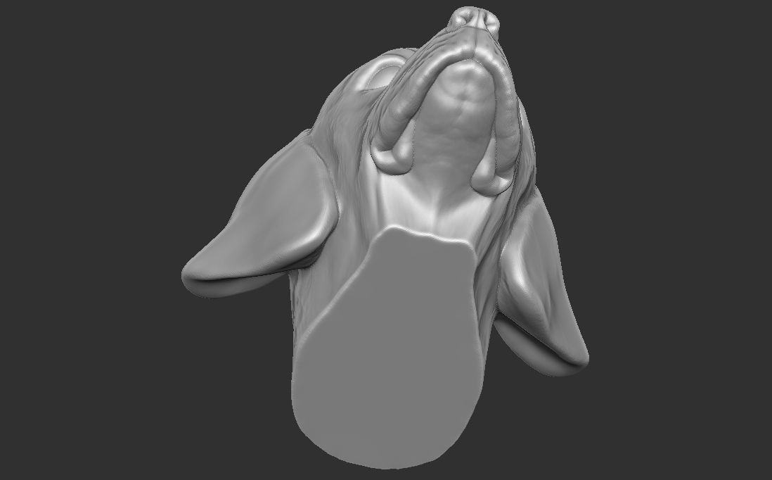 Puppy of Weimaraner dog head for 3D printing 3D print model_20