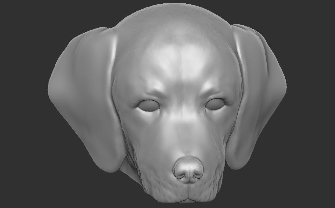 Puppy of Weimaraner dog head for 3D printing 3D print model_17