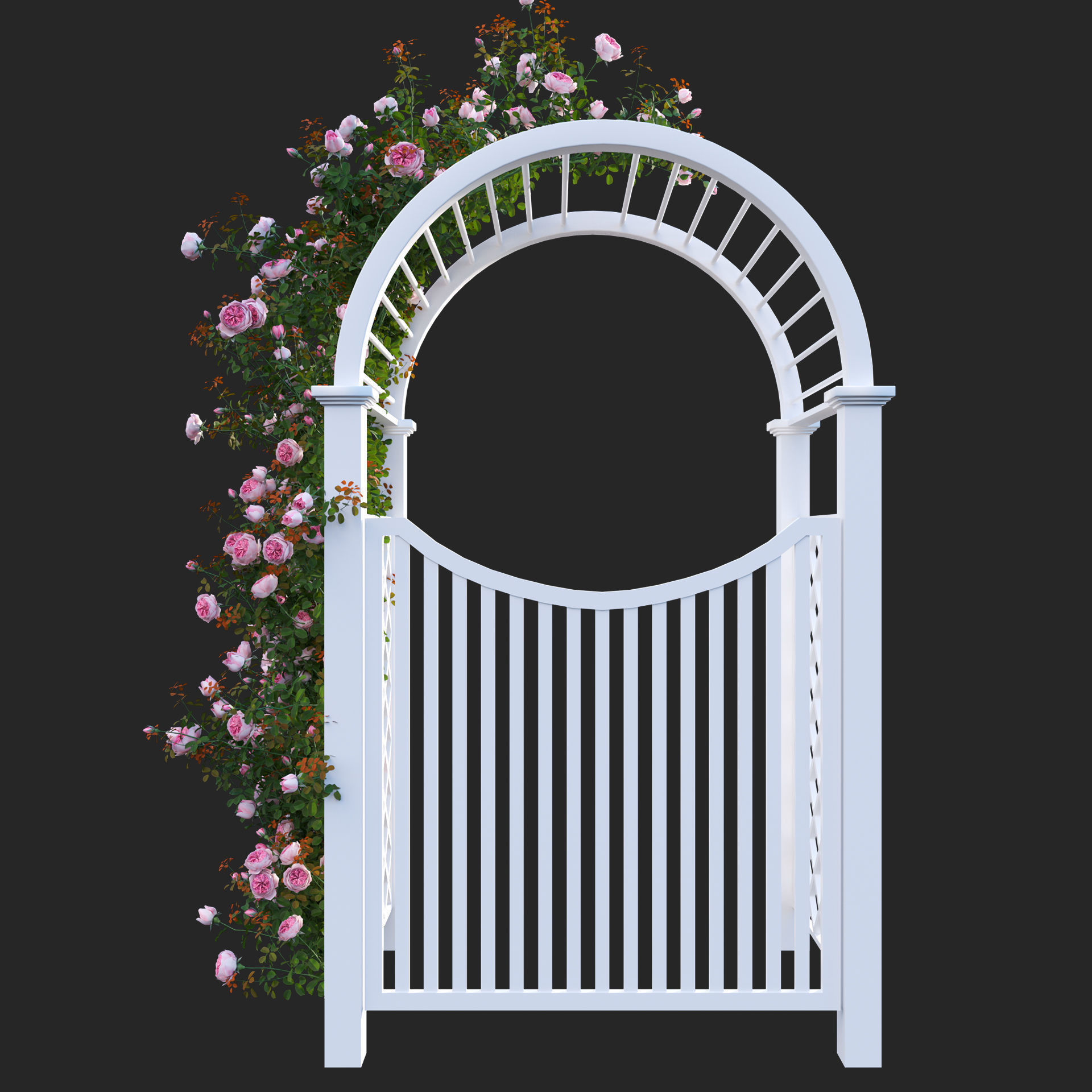 Climbing Rose - Rose Gate 3D model_3
