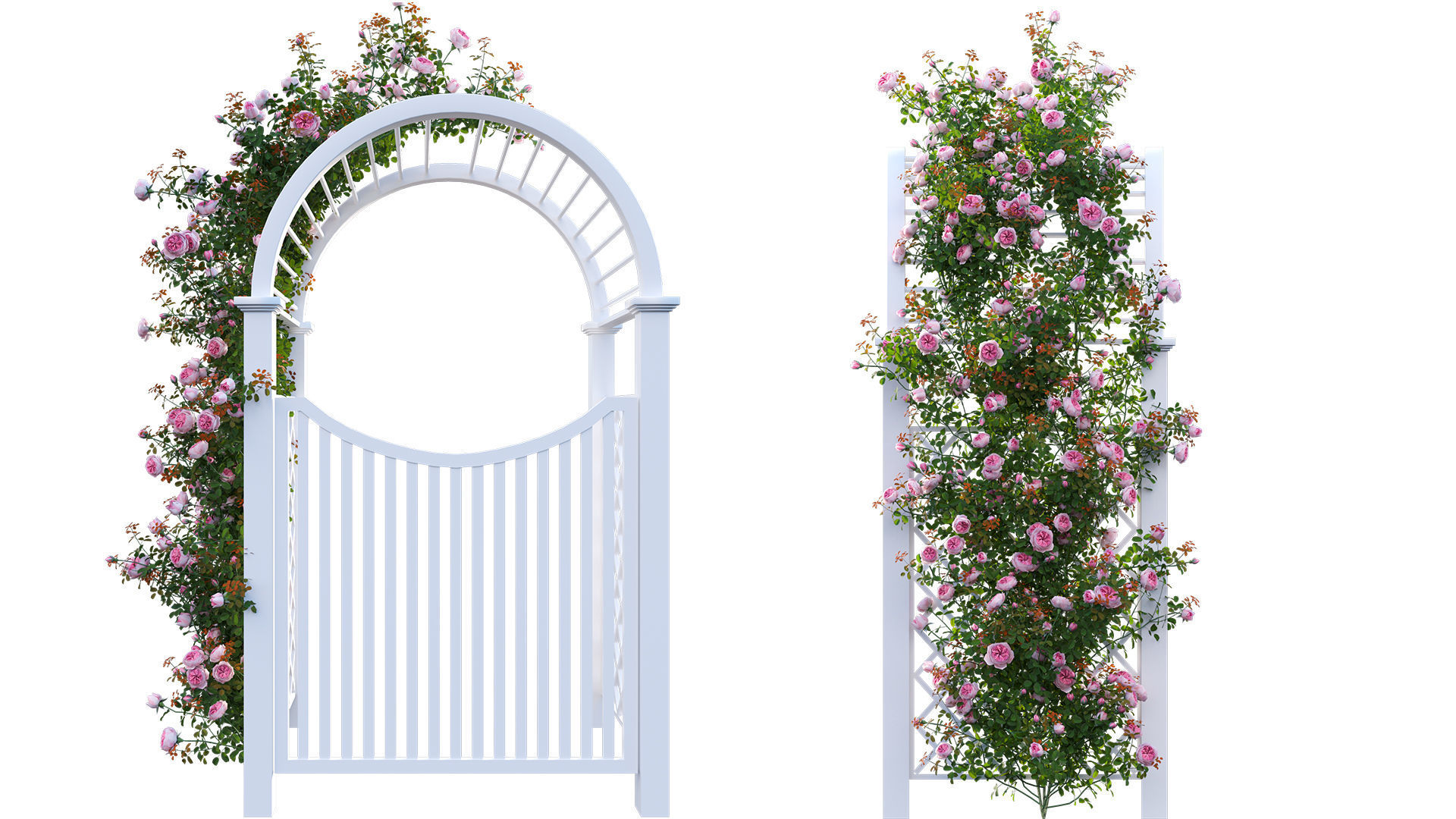 Climbing Rose - Rose Gate 3D model_5