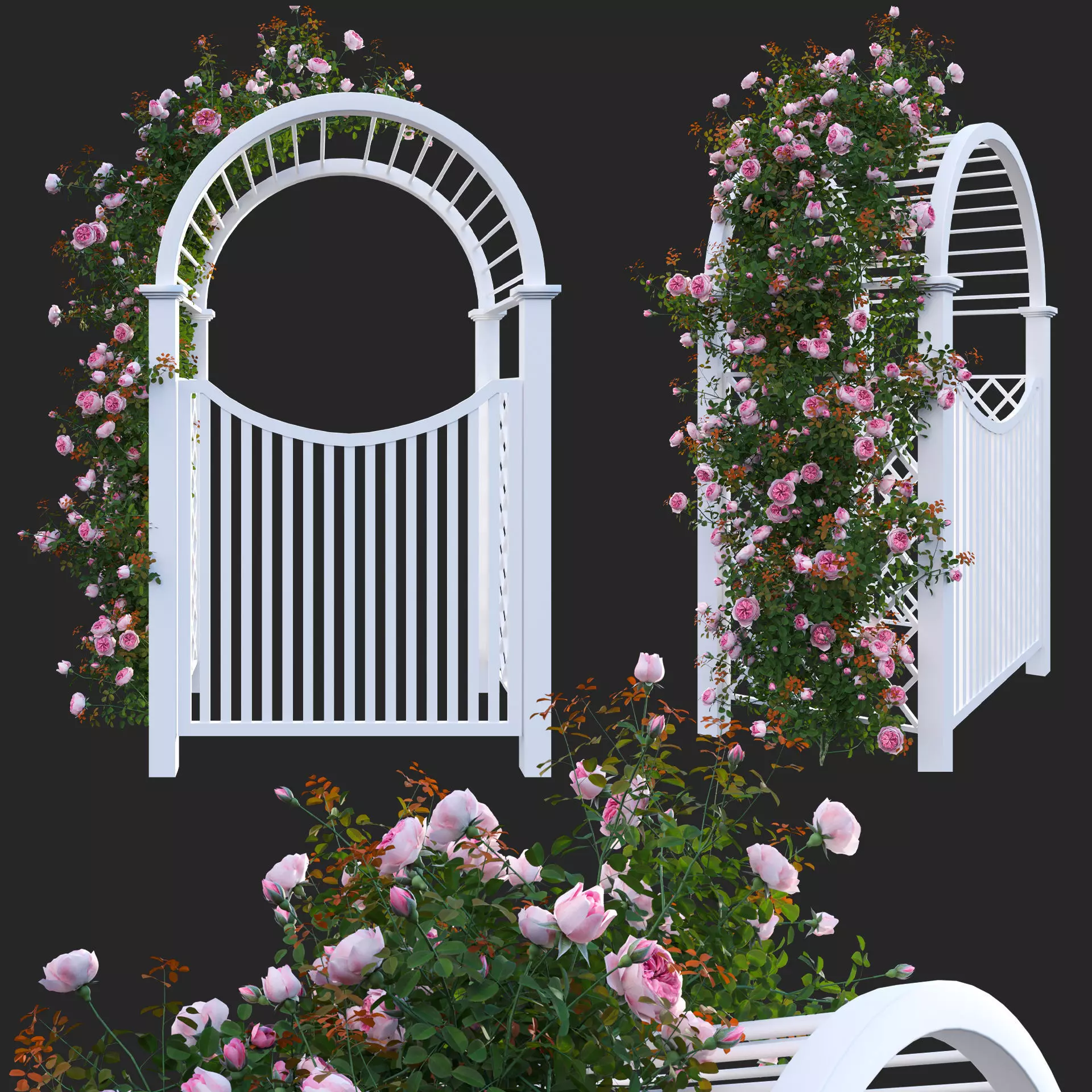Climbing Rose - Rose Gate 3D model_0