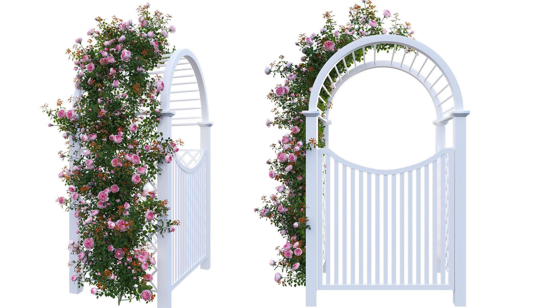 Climbing Rose - Rose Gate 3D model_6